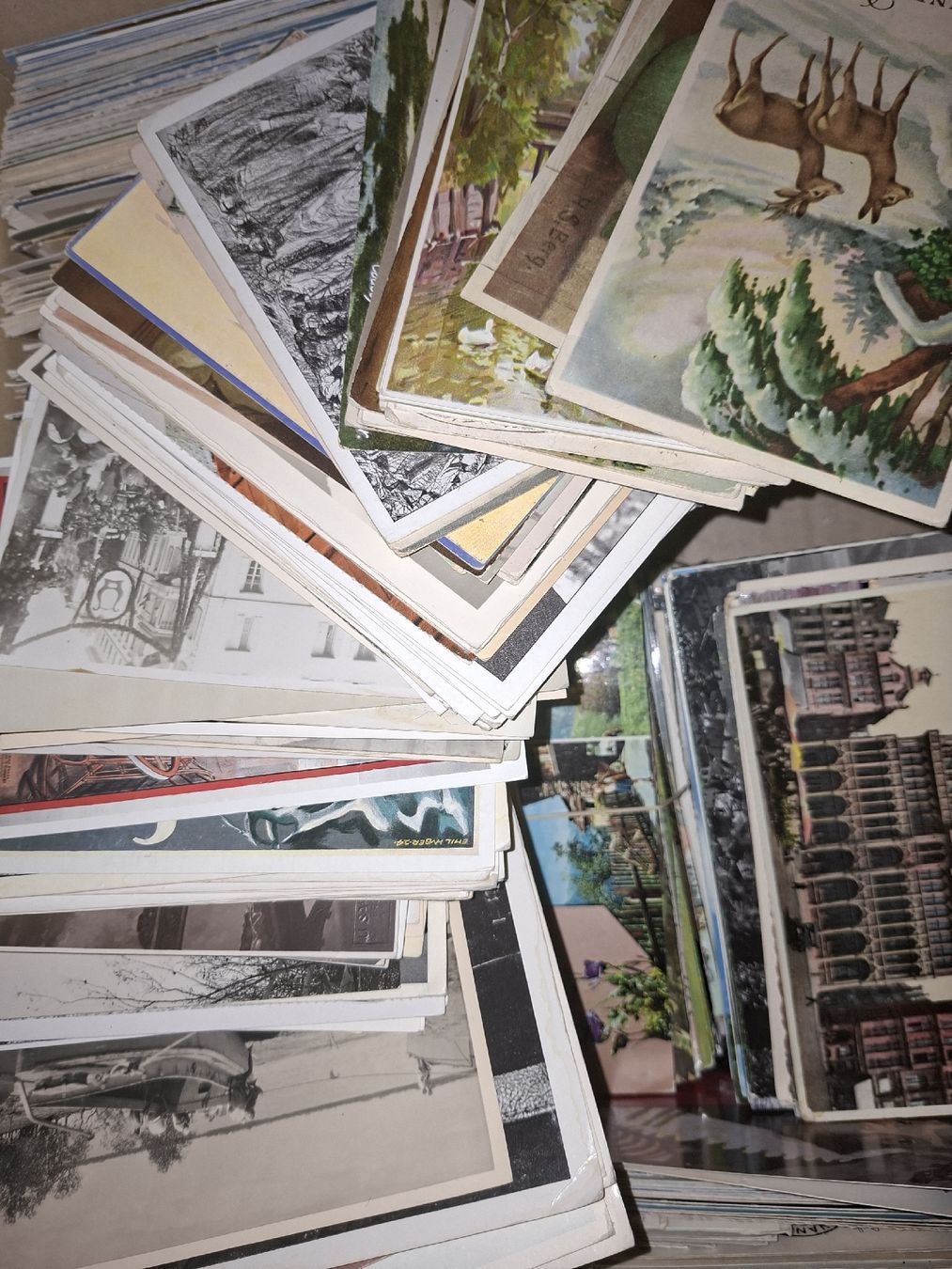 Cartoline postali: über 10KG Ansichtskarten und Kitch undurchsucht – Usato da Balgach venduto da SIMEON27 3