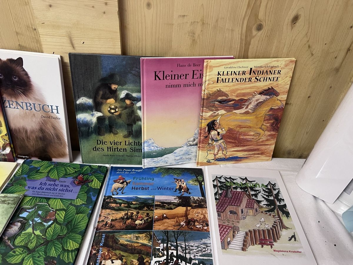Libri: Kinderbuch Konvolut (27) – Usato da Glattfelden venduto da bro_f2vv 2