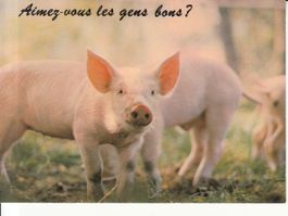 Animaux Humoristiques (14), um 1970
