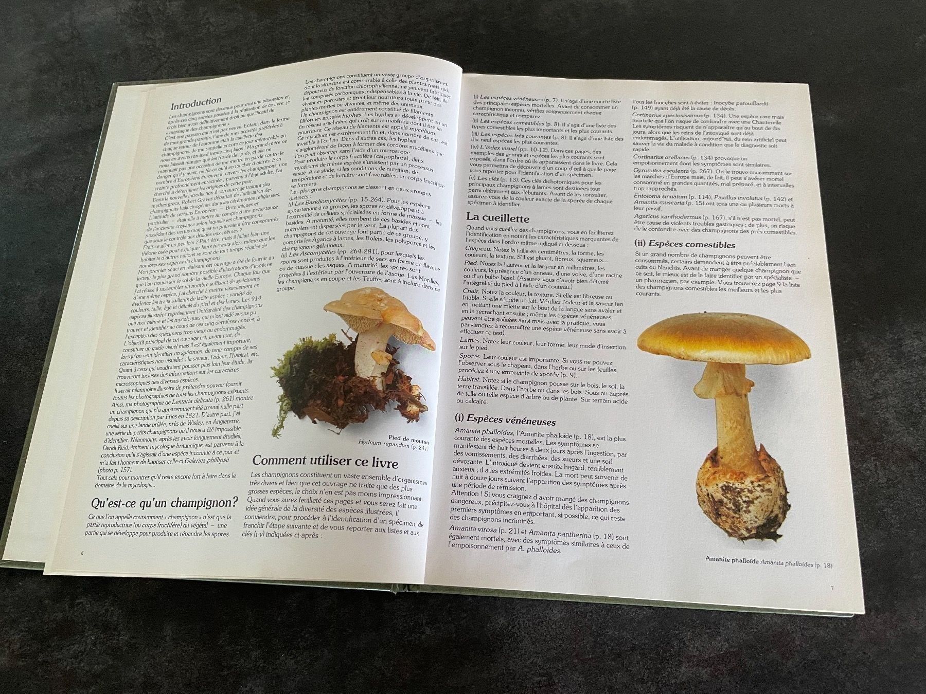 Bücher: Livre Les Champignons Roger Phillips – Gebraucht aus Vallamand von Bricbracbroc82 3