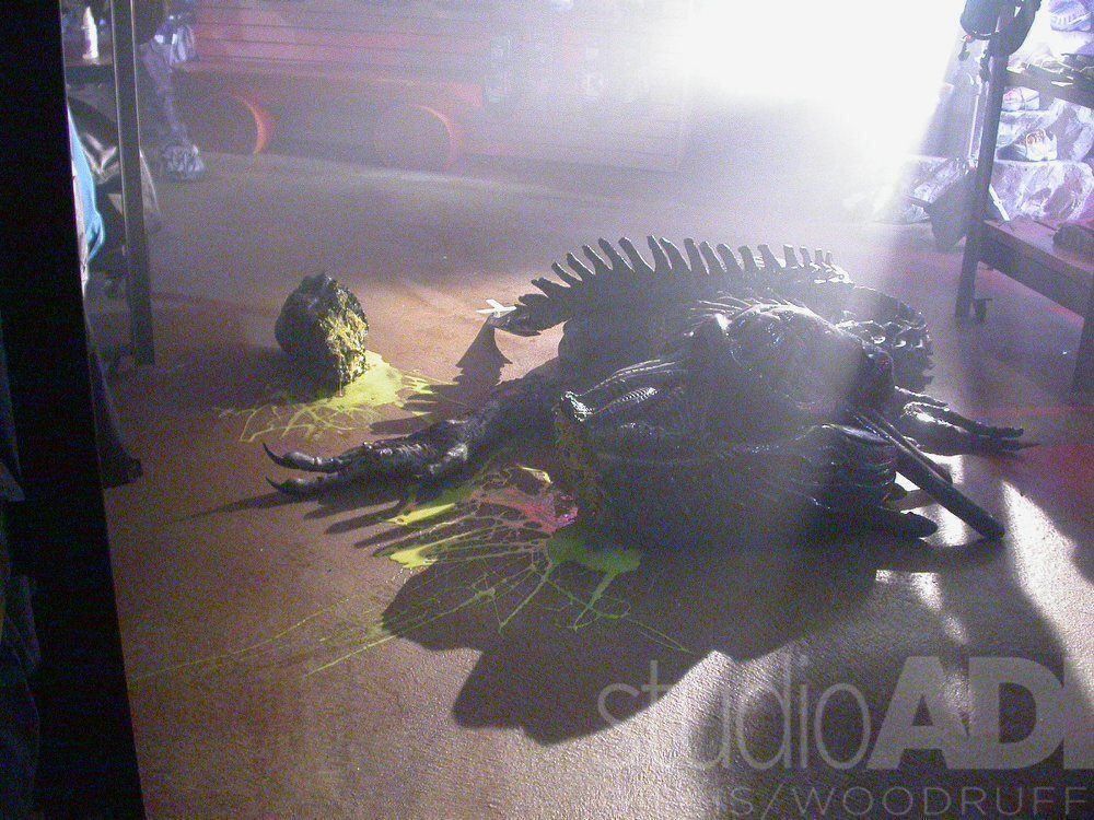 Costumi: Original Alien Kostüm Teil ‚Alien vs Predator" Giger – Usato da Schlieren venduto da Moviepropde 6