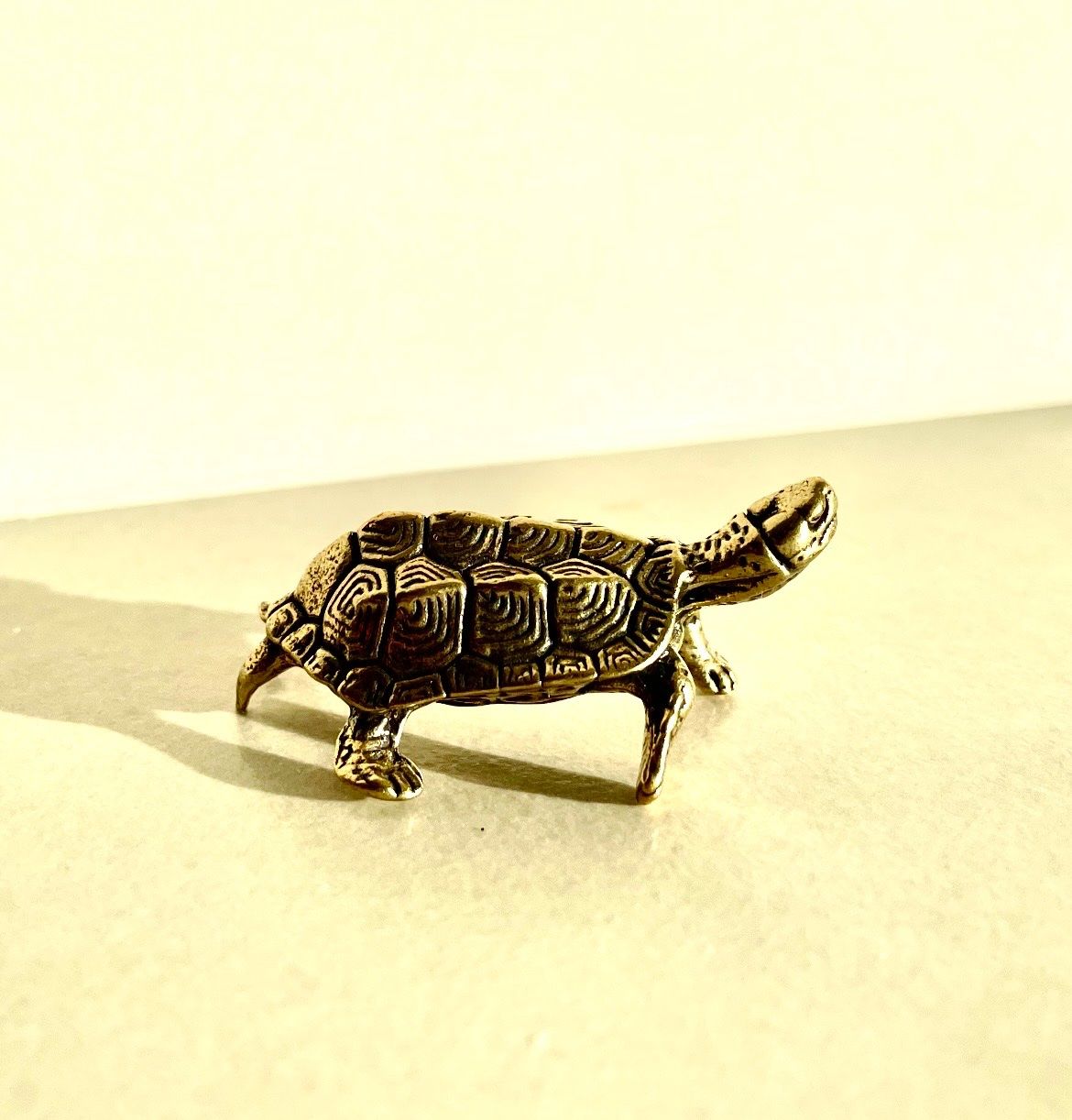 Figuren: Messing Schildkröte – Gebraucht aus Zürich von FastLizard 1