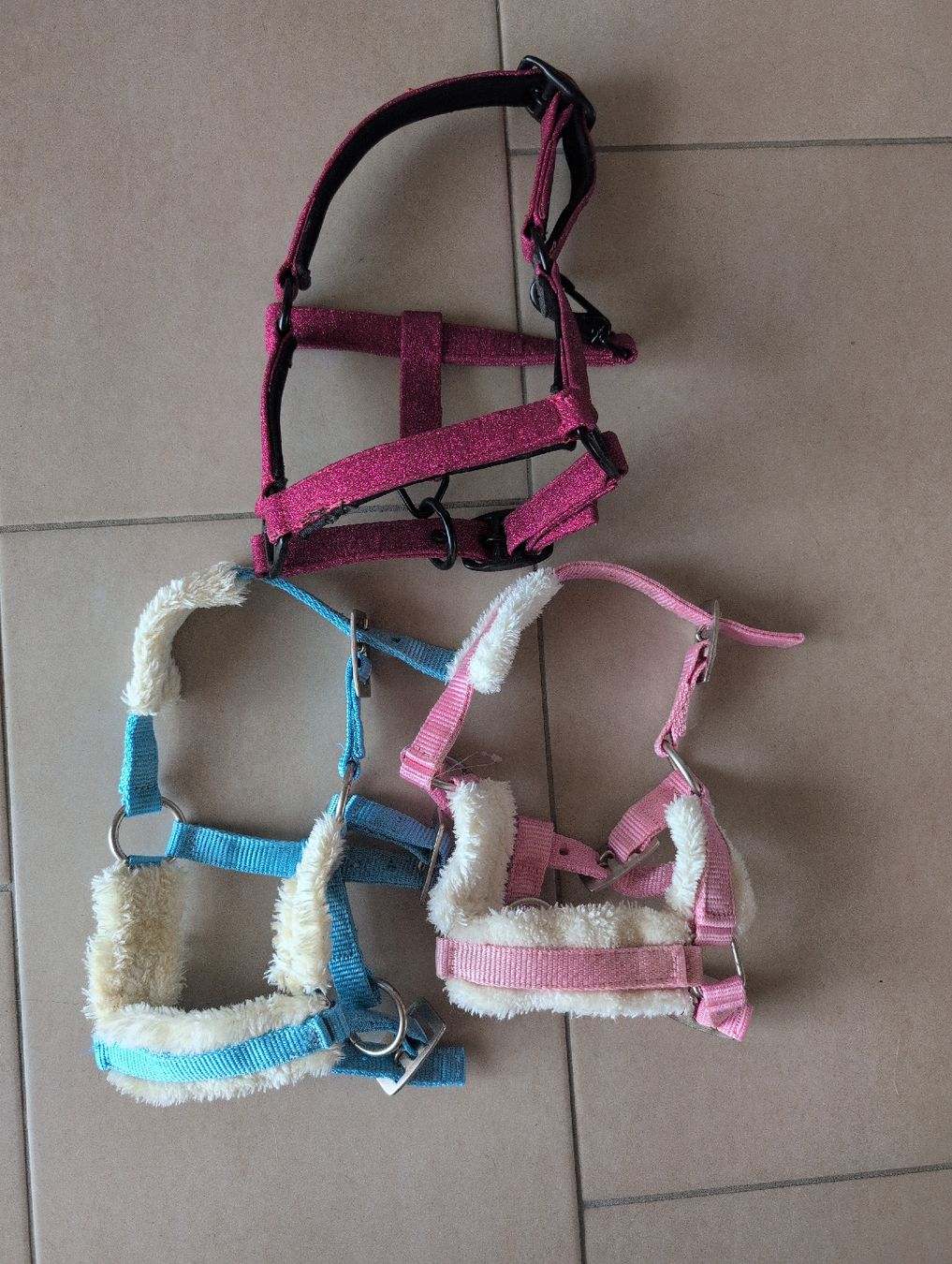 Briglie & Cavezze: Mini Shetty oder Fohlen Halfter Set – Usato da Glattbrugg venduto da Rose198