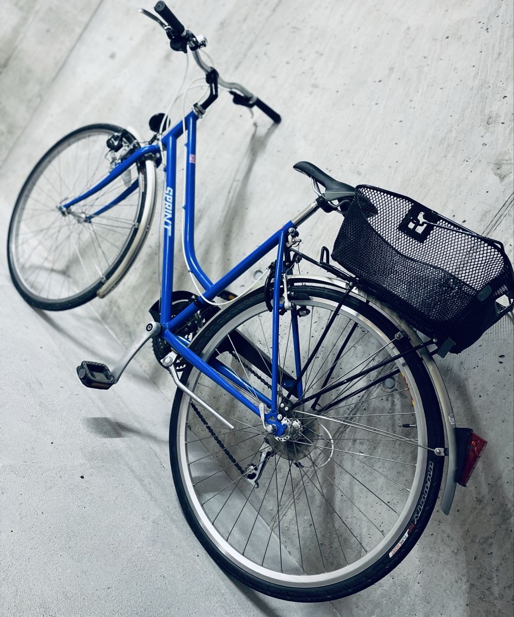 Biciclette: Damen Velo – Usato da Zürich venduto da Bidon3011 7