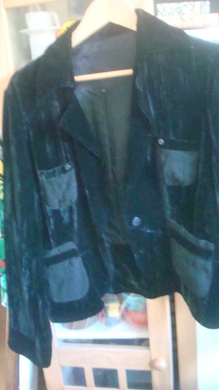 Vestes: Samtblazer schwarz Malvin Gr. 44 – D'occasion à Münchenstein par Pesci6 1