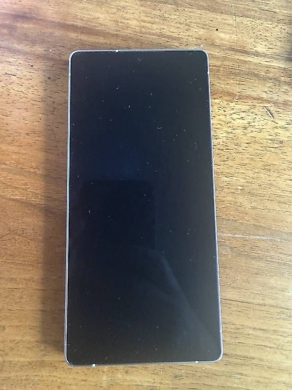 Samsung Telefoni cellulari / Smartphones: Samsung Galaxy S25 Ultra 256 GB Anthrazit – Usato da St. Gallen venduto da gio_g75v
