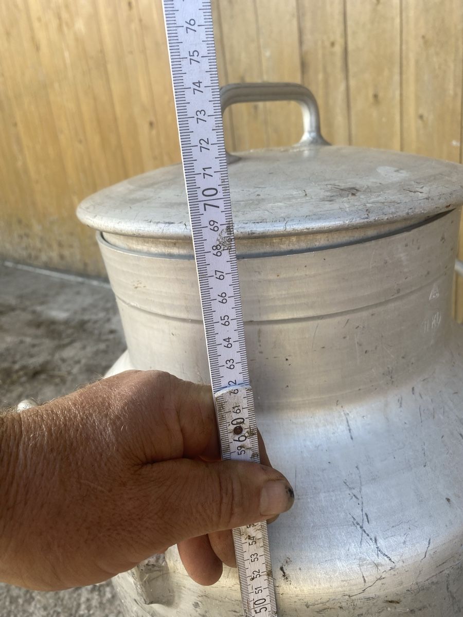 Agricoltura: 50 l Milchkanne  – Usato da Menzingen venduto da Edelmuni7 3