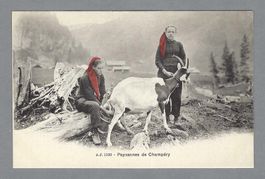 PAYSANNES DE CHAMPÉRY, *, CHÈVRES