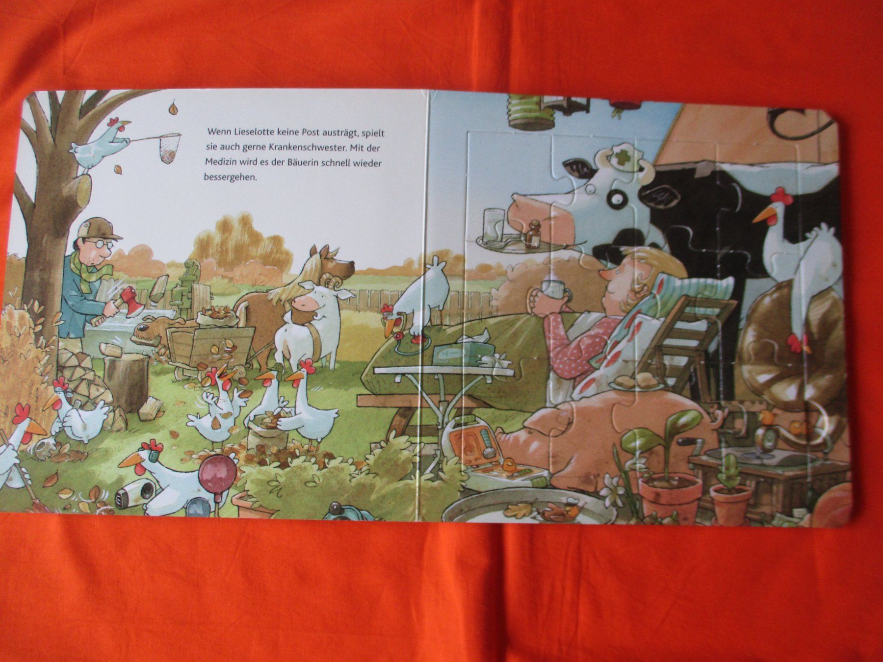Bücher: Liselotte Puzzle Buch – Gebraucht aus Birsfelden von alles-muss-raus 2
