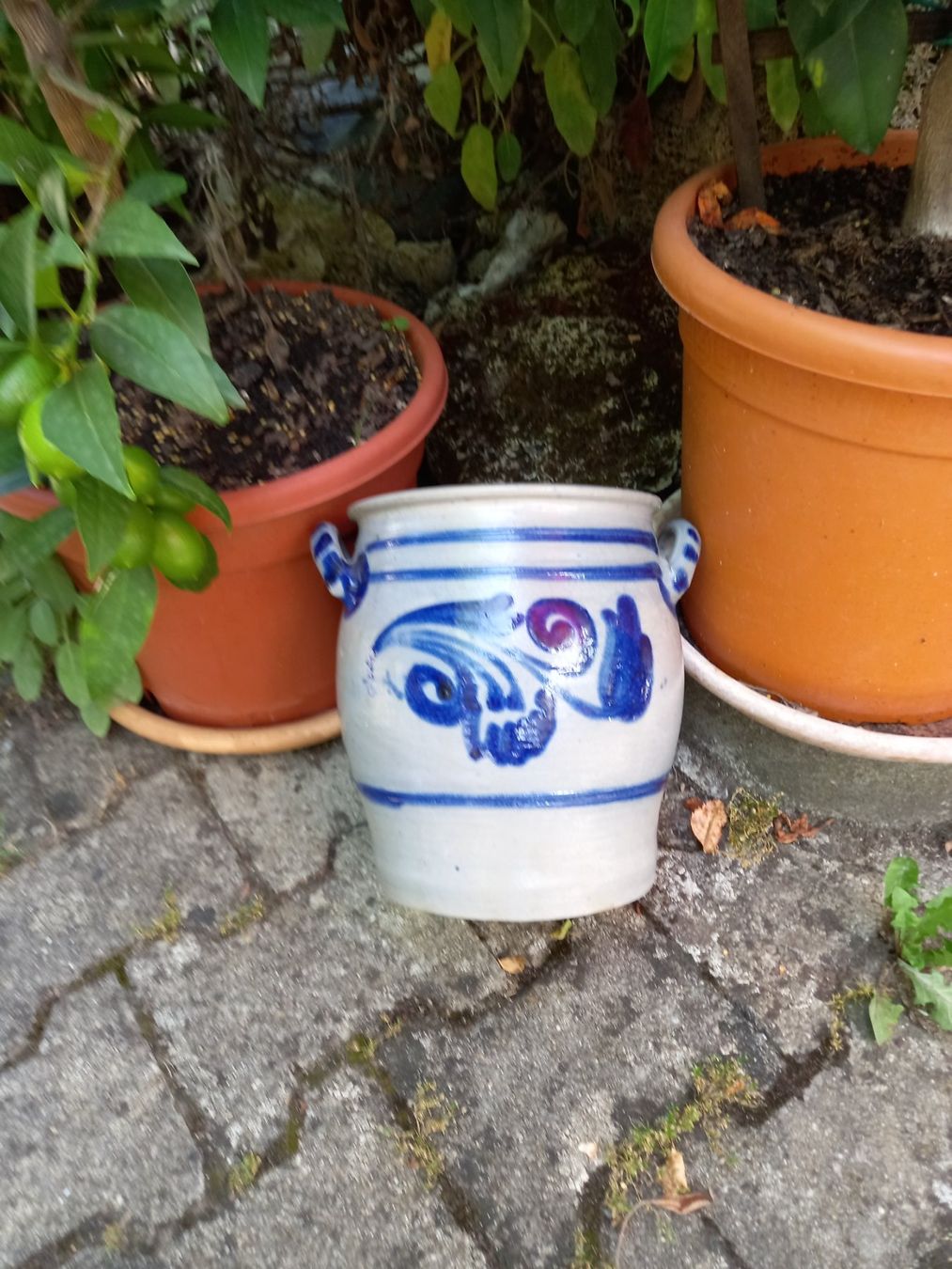 Töpfe: Steingut – Gebraucht aus Seon von Zack_16 2