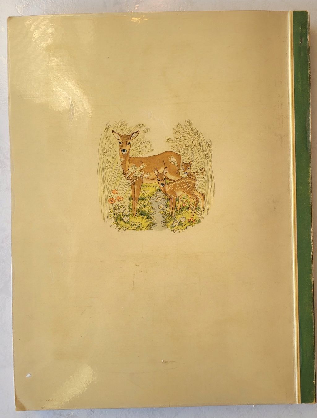 Libri: Aus Wald und Flur und Deutsche Märchen – Usato da Oberuzwil venduto da rtr_wp6m 2