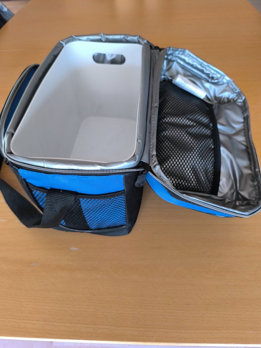 Borse: Coleman Kühltasche – Usato da Belp venduto da HuMiBe 1