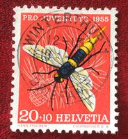 Nr. J 160 Holzwespe GESTEMPELT Winterthur 1955  