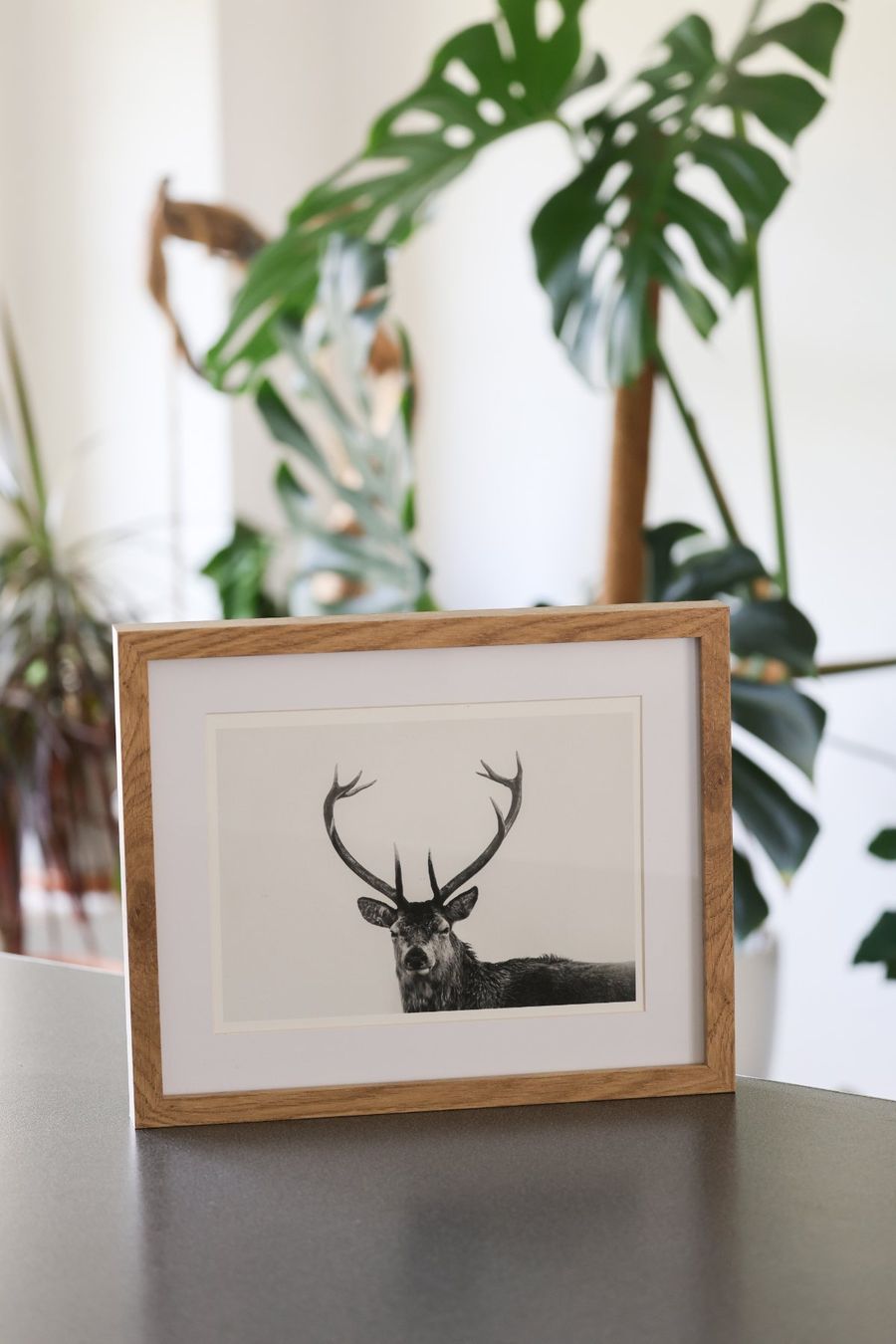 Foto & Immagini: Photo originale "Le cerf en Ecosse" – Usato da Vaumarcus venduto da Arte-Lovers 1