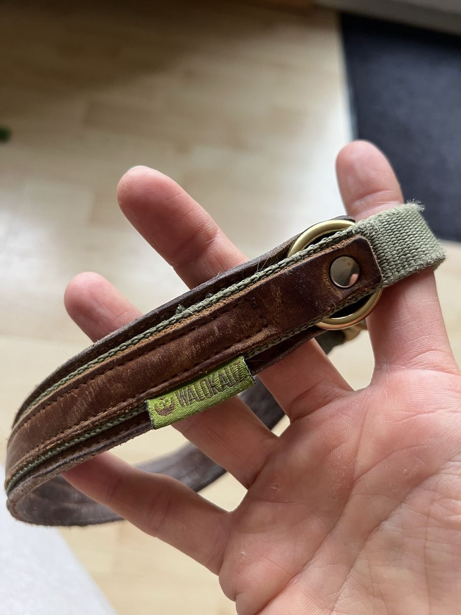 Leine & Halsband: Waldkautz Set Leine / Halsband – Gebraucht aus Rikon im Tösstal von Jenny_T3223 3