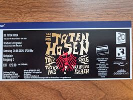 🎸 1 Ticket DIE TOTEN HOSEN – Zürich Letzigrund – 20.06.26