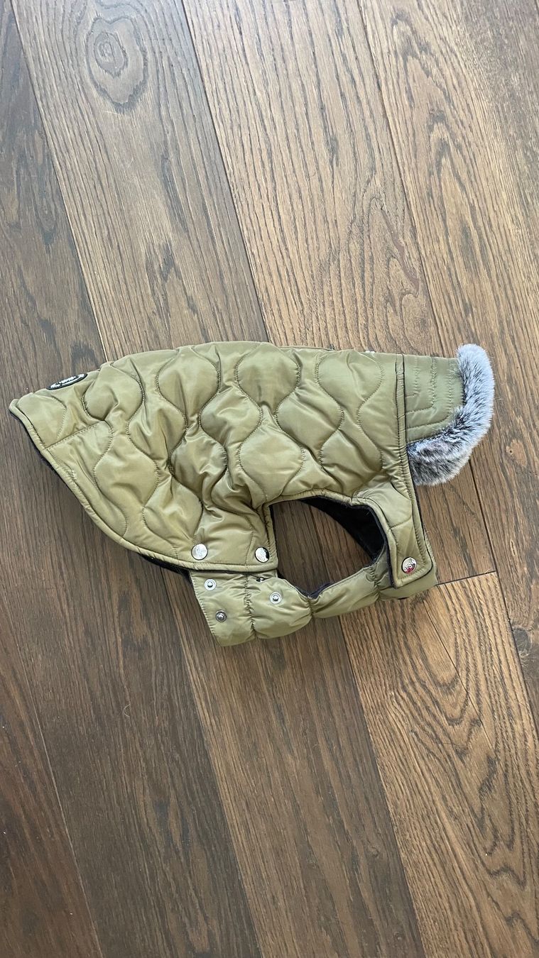 Abbigliamento: Hundemantel Winter olive Länge 38 – Usato da Zollikon venduto da rundbsurf 1