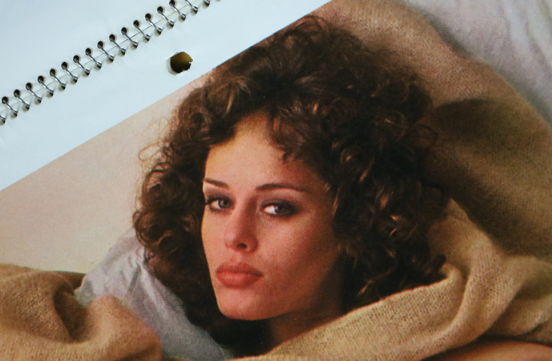 Playboy Calendari: PLAYBOY Kalender 1979 – Usato da Birrwil venduto da brandschatz_birrwil 7