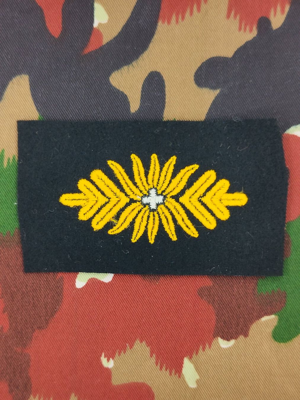 Schweizer Armee Plaketten & Abzeichen: Spezialistenabzeichen Generalstab, Versuch, Variante 1 – Gebraucht aus Bauma von SwissMilitaria