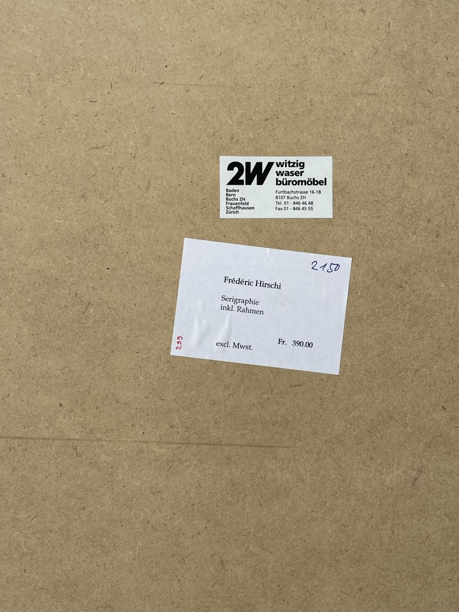 Foto & Immagini: 2 Serigraphien, gerahmt F. Hirschi – Usato da Zürich venduto da MARKTMIX 7