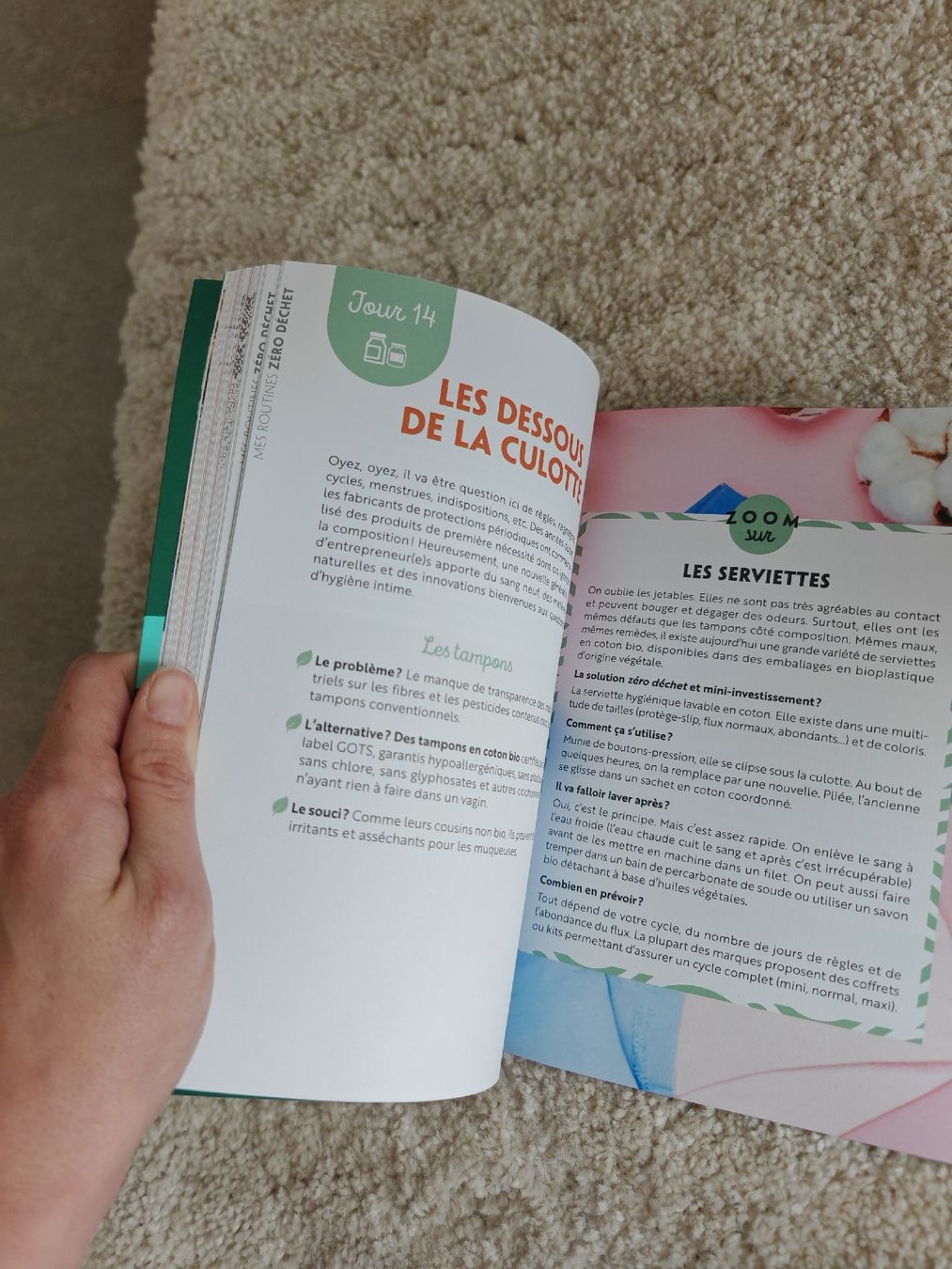 Libri: Livre Zéro Déchet: Mes Petites Routines zéro plastique – Usato da Longirod venduto da ali_nsd5 3