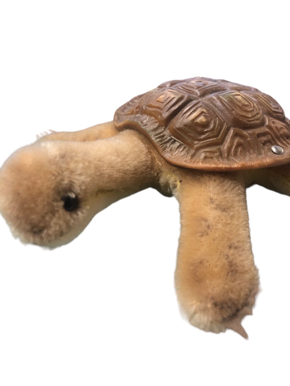 Steiff Giocattoli: Steiff - Schildkröte Slo  19 cm lang mit Knopf – Usato da Pratteln venduto da Dollshop 1