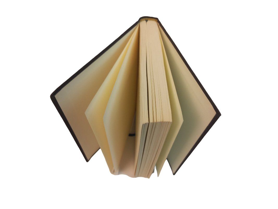 Libri: GOETHE 18 REGISTERBAND – Usato da Hünenberg venduto da Restwert_Zug 4
