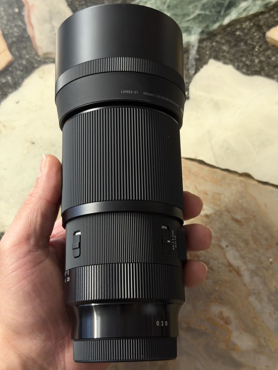 Sony Obiettivi: Sigma 105mm f/2.8 DG DN Macro Art, Sony E – Usato da Wetzikon ZH venduto da MKVII7 2