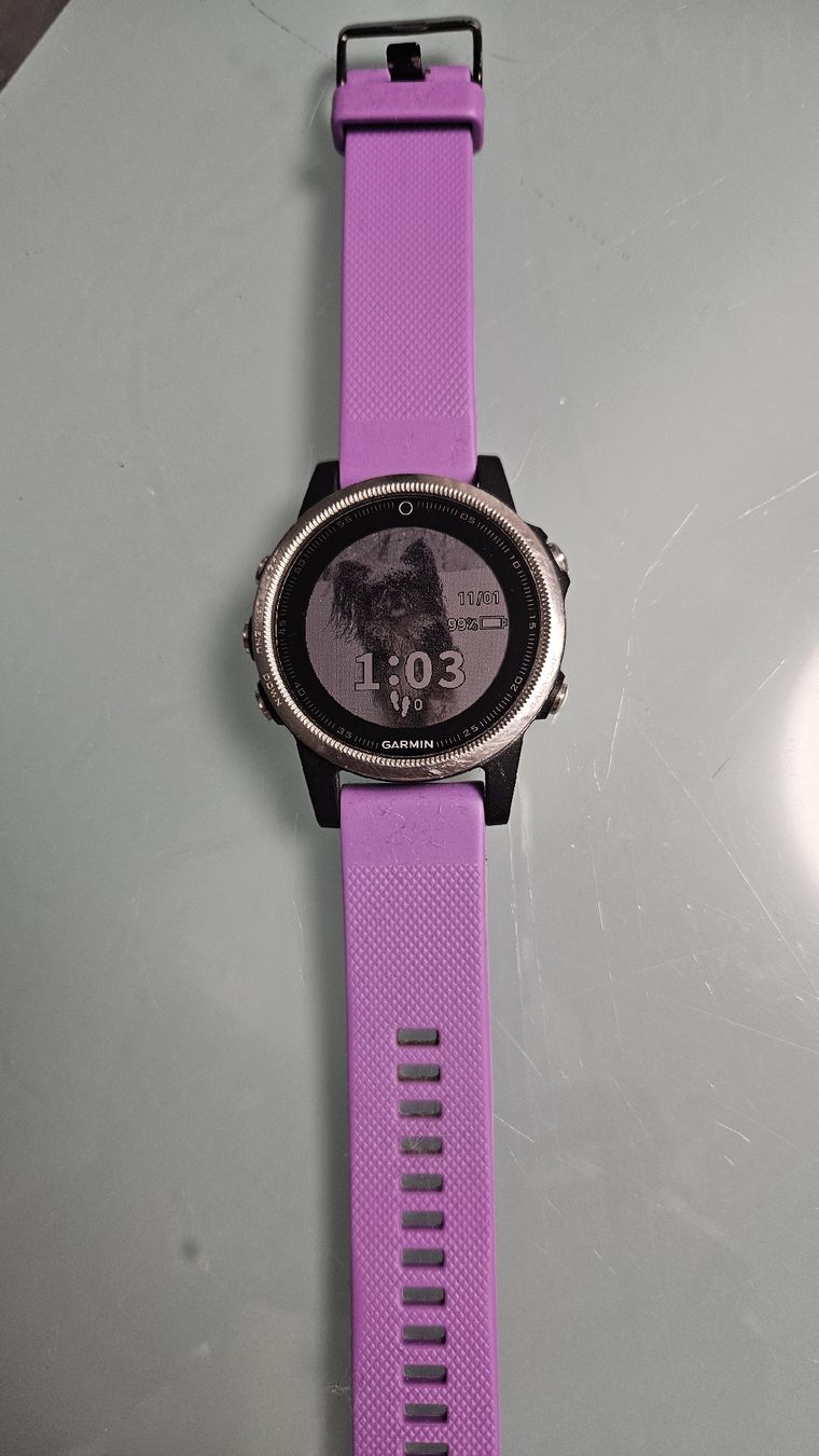 Garmin Smartwatch: Garmin Fenix 5S  – Gebraucht aus Leuzigen von bonny2