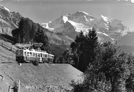Wengen BE Wengernalpbahn Zug Panorama