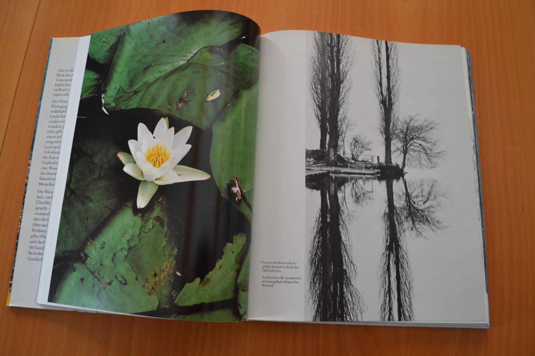 Libri: Seetal Hallwilersee mit 132 Seiten – Usato da Beinwil am See venduto da kajak55 1