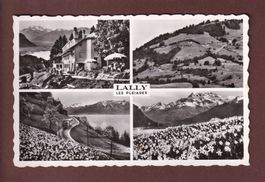 LALLY - Les Pléïades - 4 images - 1954