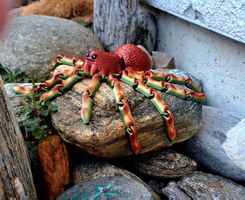 Spinne, Flexispinne, Figur, Spider