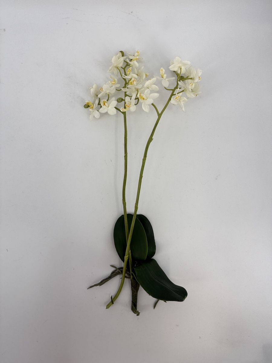 Piante & sementi: Künstliche Orchidee  – Usato da Auenstein venduto da moin.