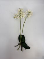 Künstliche Orchidee 
