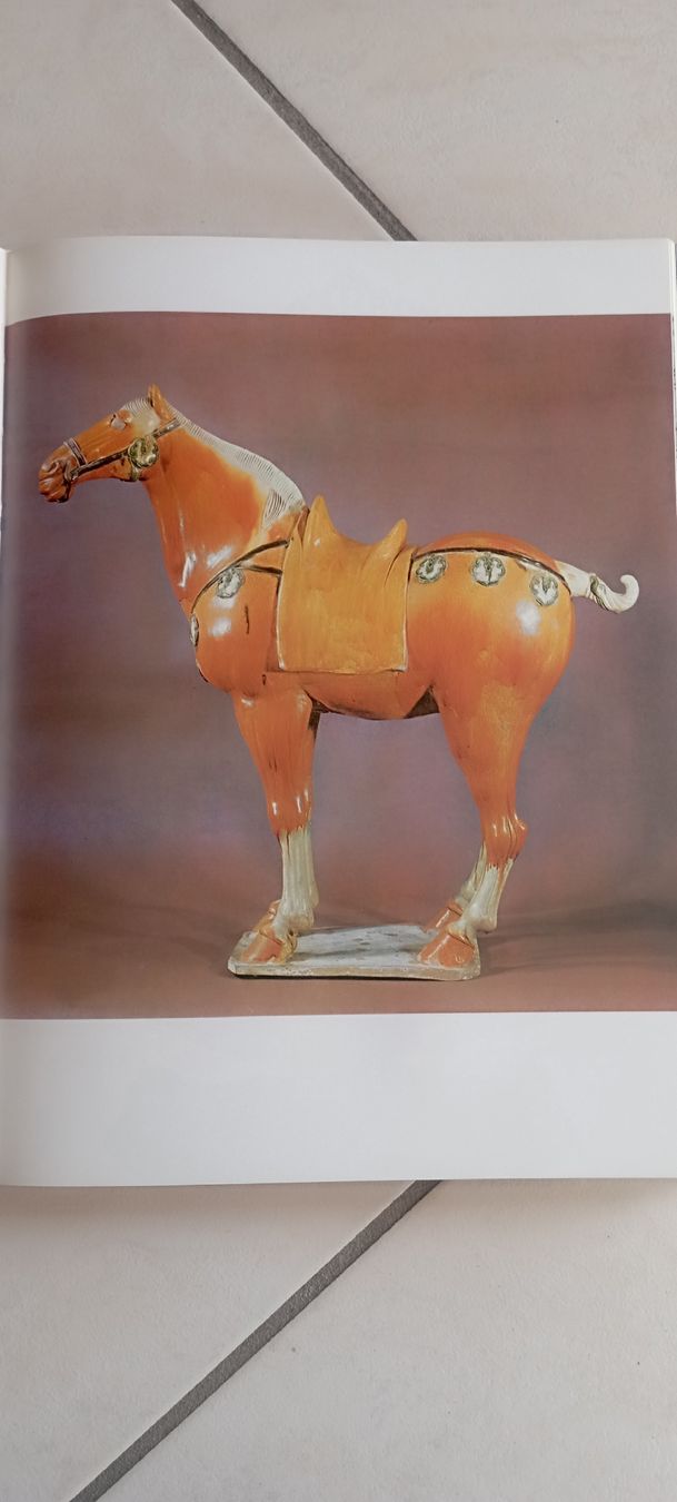 Libri: L'Art Oriental Sherman E. Lee Editions Sequoia – Usato da Le Locle venduto da Oldthingslover 7