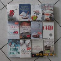 Bücher 12 Krimis