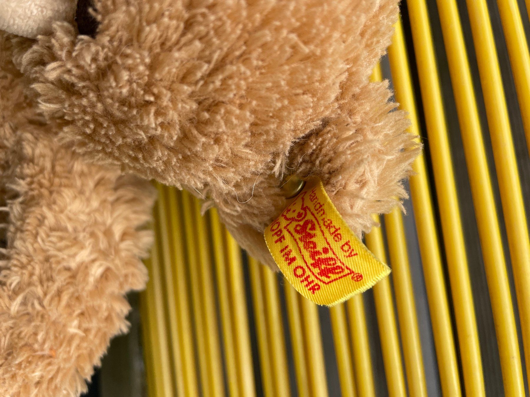 Steiff Giocattoli: Teddy-Bär – Usato da Forch venduto da ESELSTEIN 1