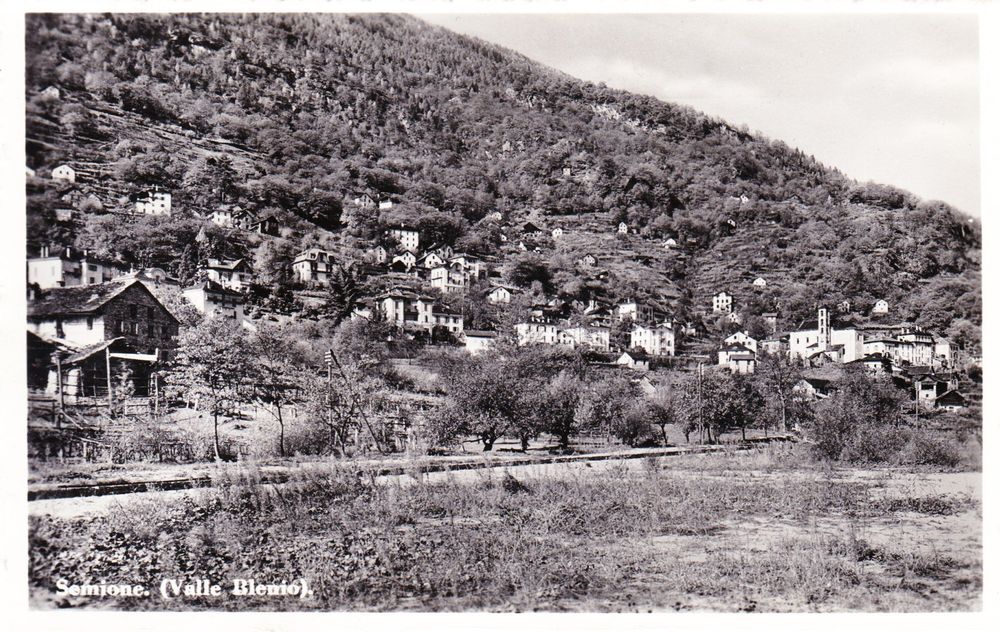 Semione Kaufen auf Ricardo