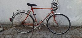 Vintage Halbrenner Pantera