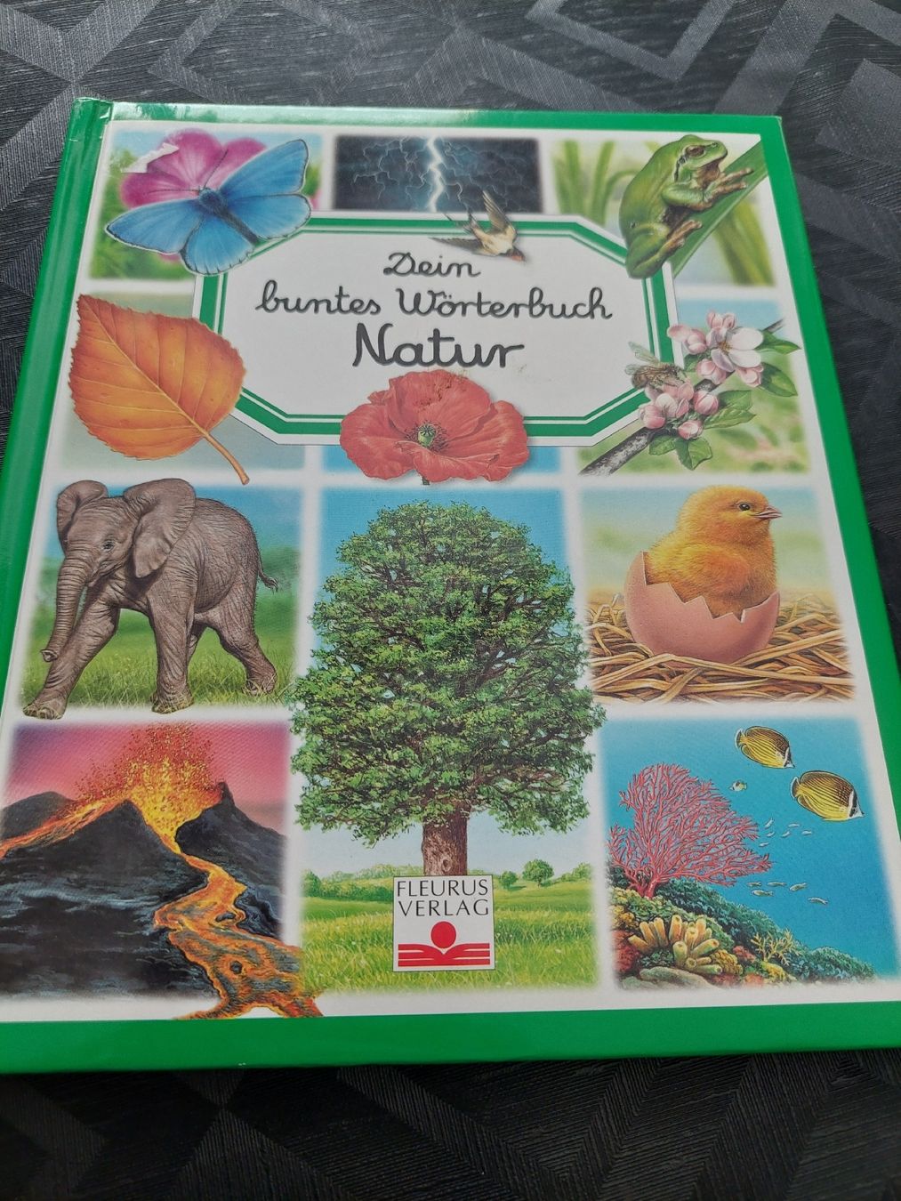 Bücher: Dein buntes Wörterbuch  Natur – Gebraucht aus Zetzwil von lanst08