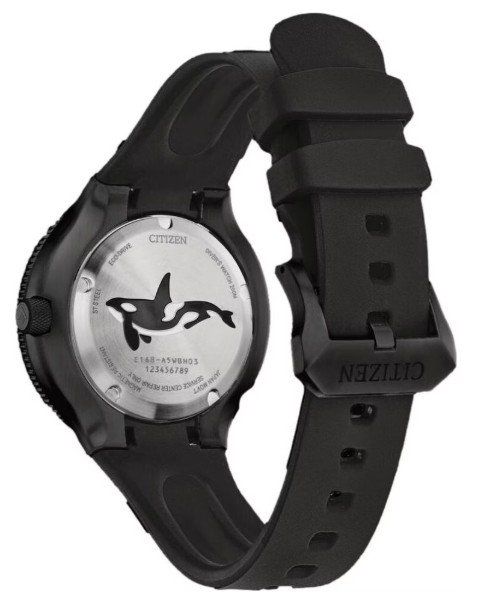 Citizen Orologi: Citizen Promaster Eco-Drive Orca Divers 46 mm "Black" – Nuovo (secondo la descrizione) da Zuzwil BE venduto da anbieterbern 1