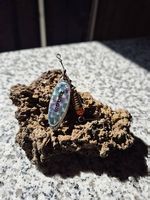 Pêche : Cuillères Mepps aglia
