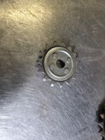 Mofa Ritzel mit Freilauf Marke BERV GGA