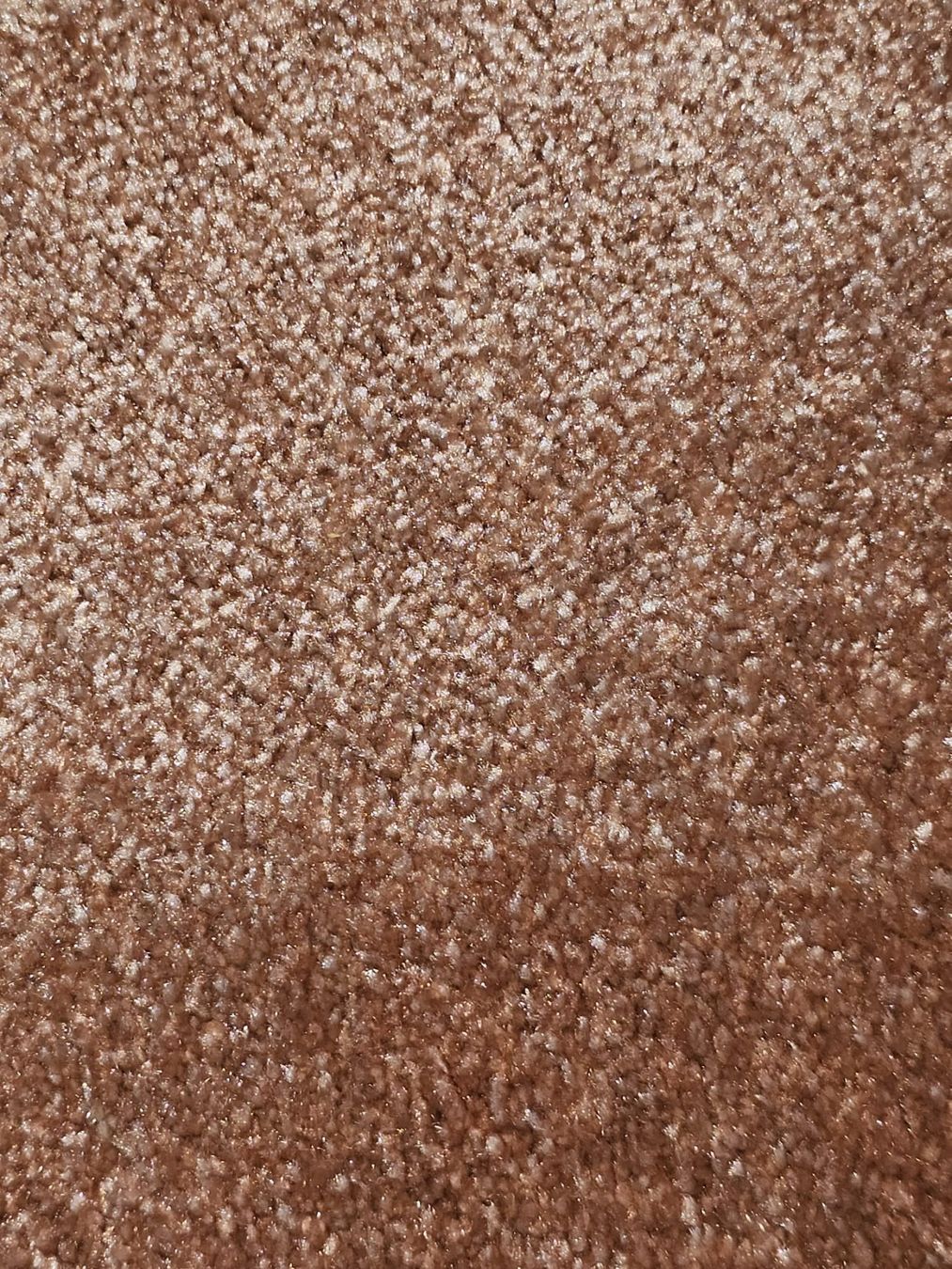 Tappeti: Carpet – Usato da Affoltern am Albis venduto da ser_r7tp 2