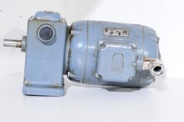 Elektromotor 220/380 Volt mit Getriebe