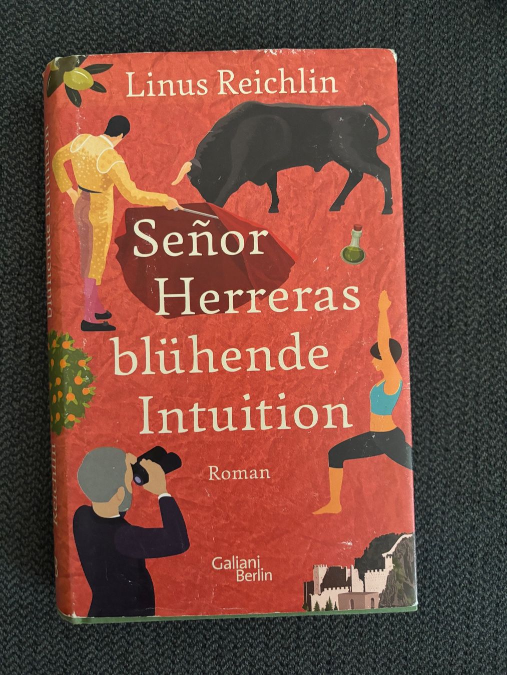 Bücher: Bücherpaket: Romane – Gebraucht aus Winterthur von monamoa 4