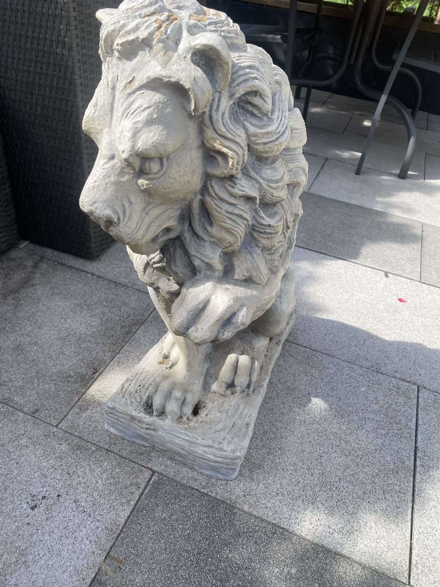Skulpturen & Statuen: Löwe Statue 68x50x24cm – Gebraucht aus Seewen SZ von shaky01 1