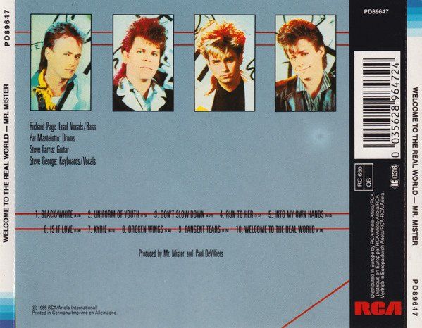 CD Mr Mister - Welcome to the real world (1985) (Gebraucht) in Möriken ...