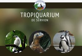 3 x Tropiquarium de Servion (1 x adulte + 2x enfant)